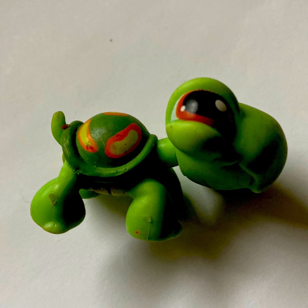 Littlest pet shop turtle